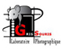 Labo Gris Souris